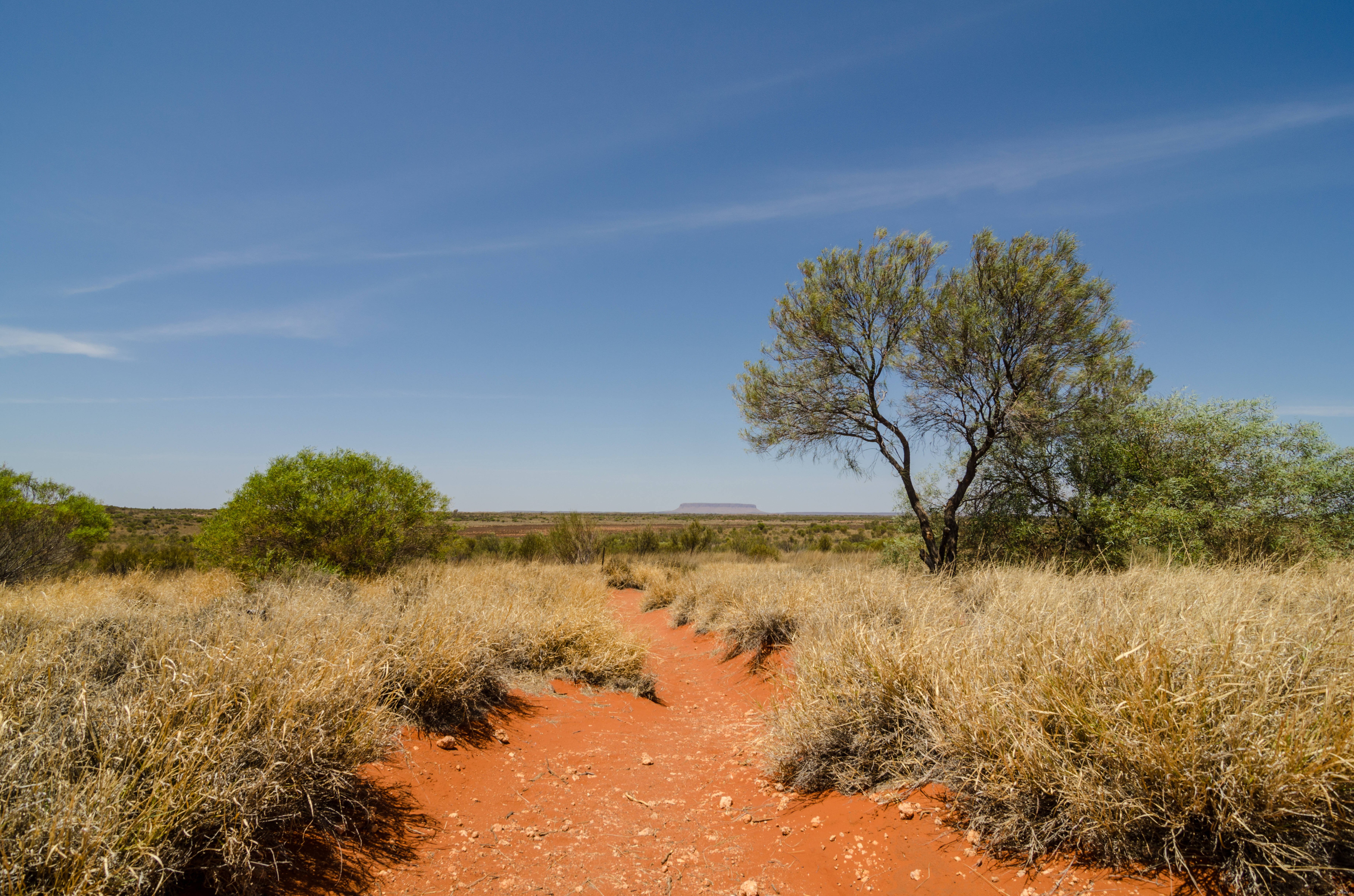 10 самых больших пустынь в мире. Great Victoria Desert Австралия. Великая пустыня.